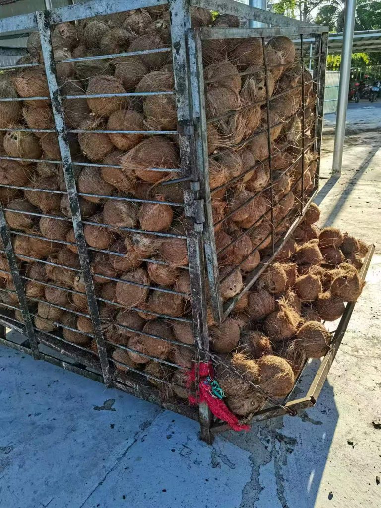 Coconut dehusking machine (768x1024)