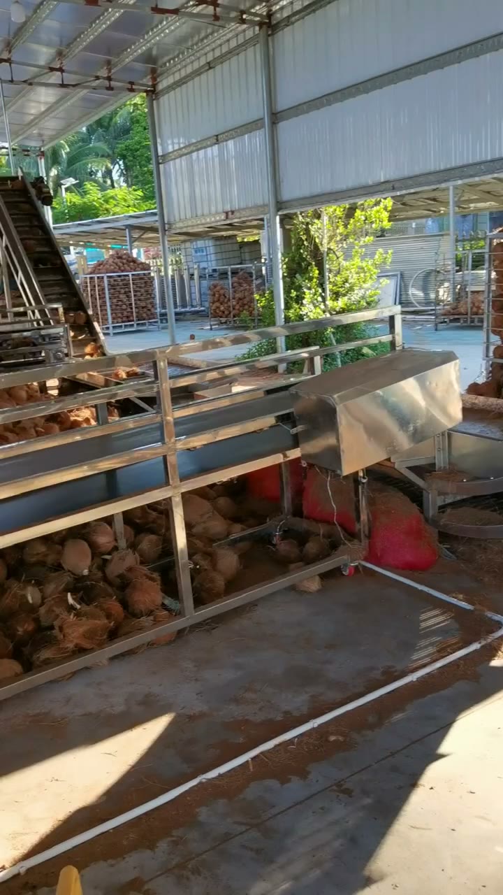 S500 conveyor between coconut preparation stages