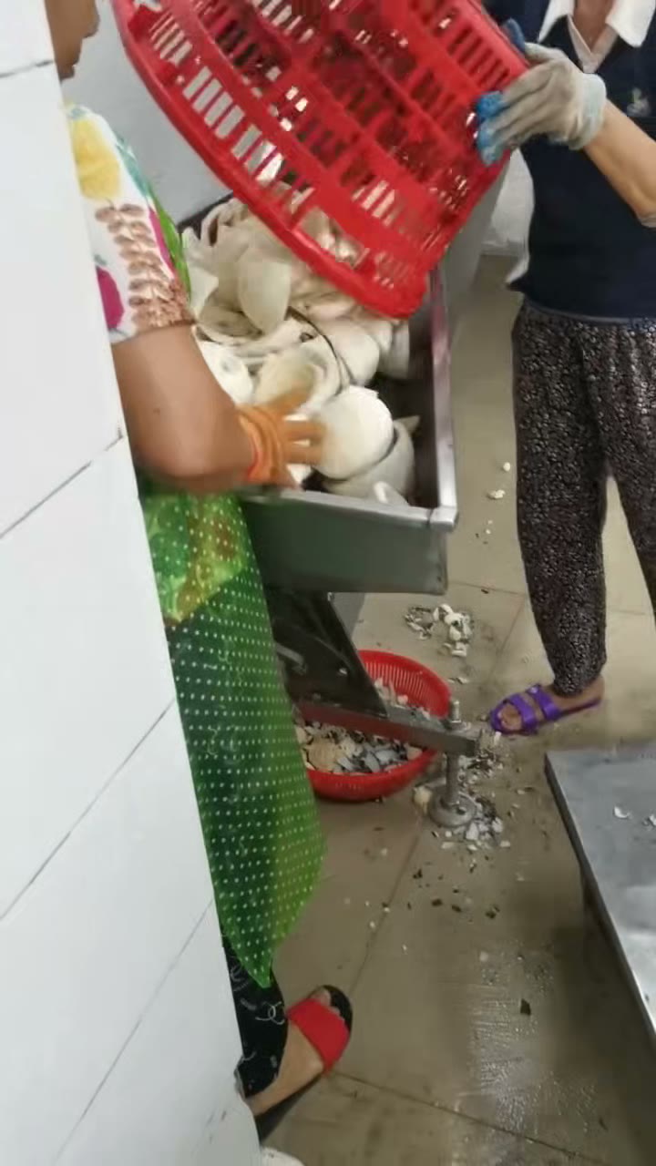 Coconut meat washing before crushing