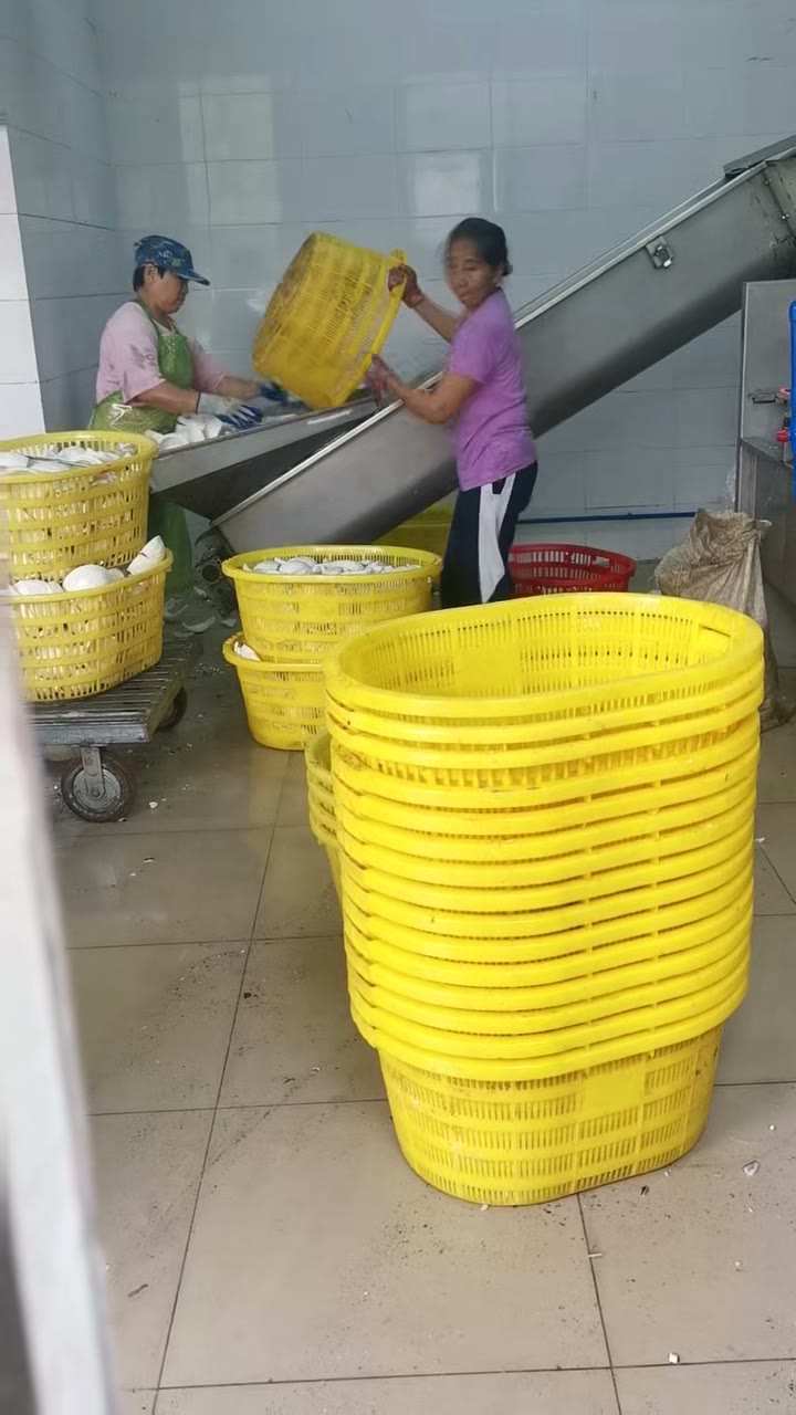 Coconut meat crushing for better milk extraction